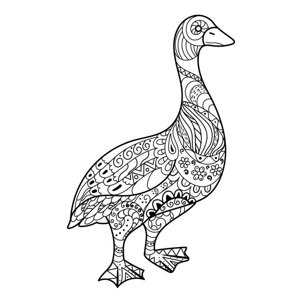 Goose es Para Adultos