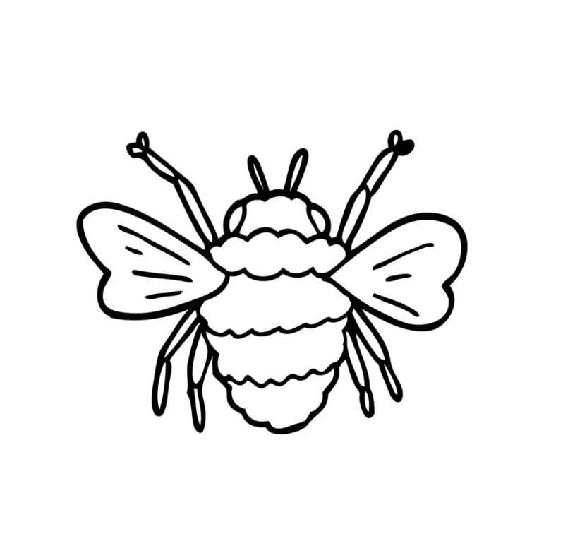 Gran Abeja