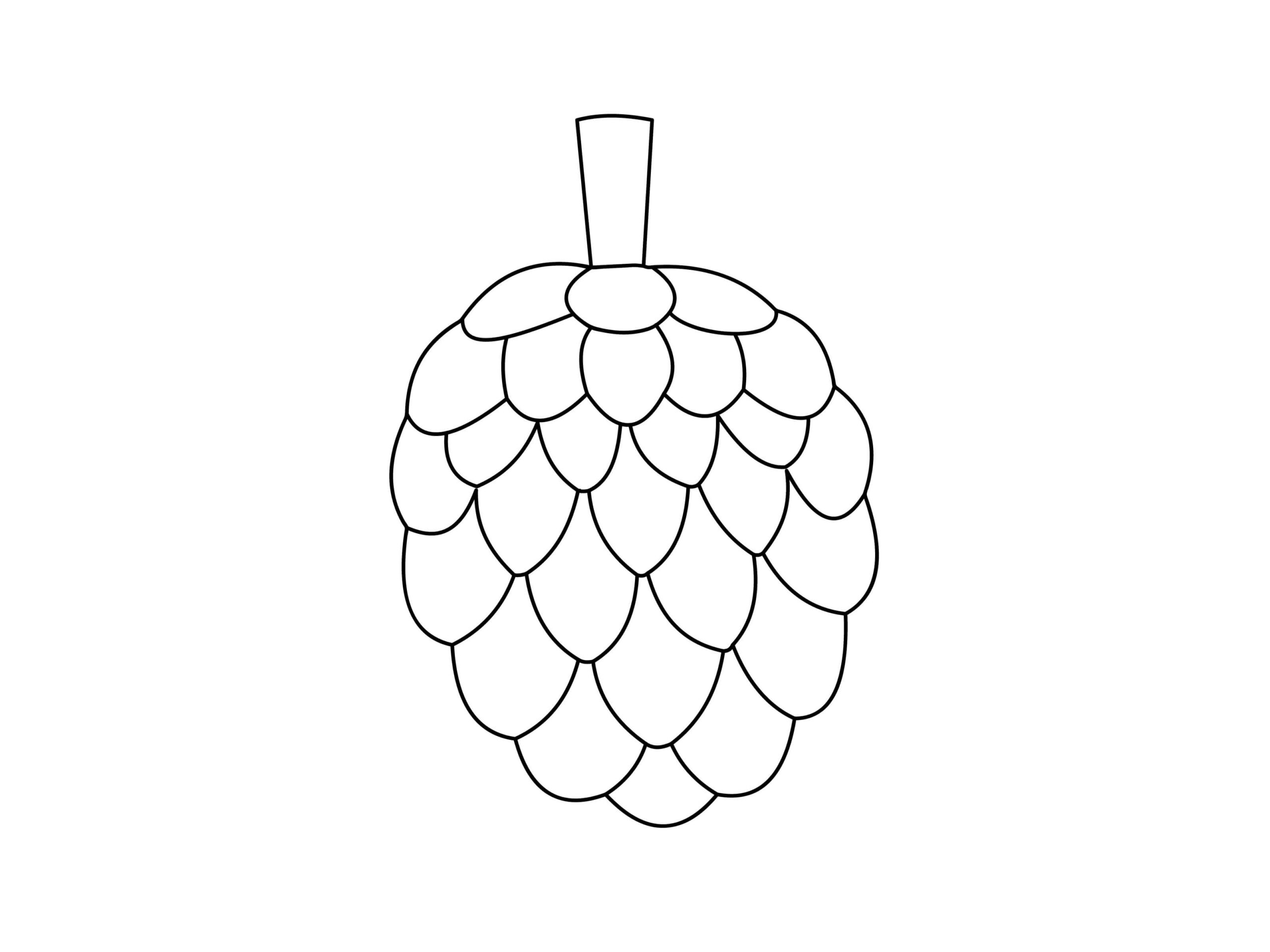 Chirimoya
