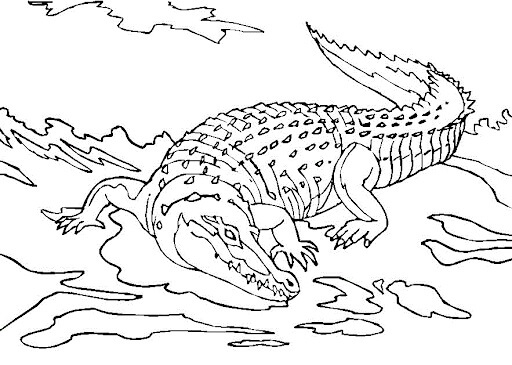 Gran Cocodrilo