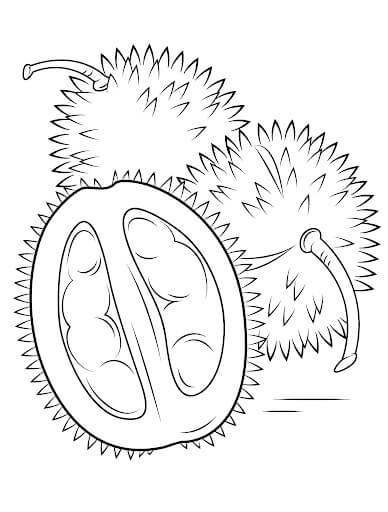 Gran Durian