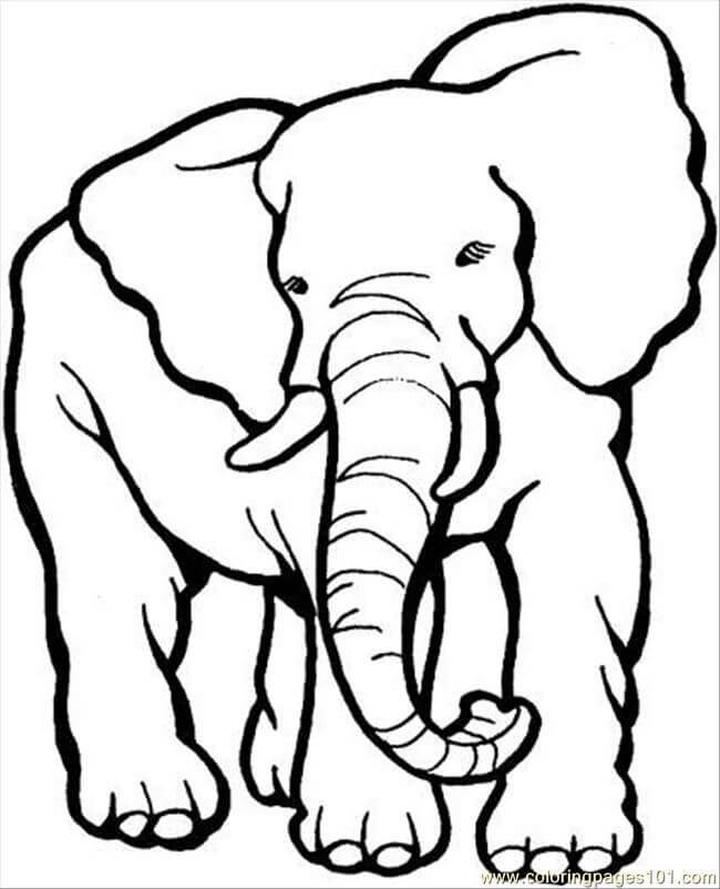 Gran Elefante