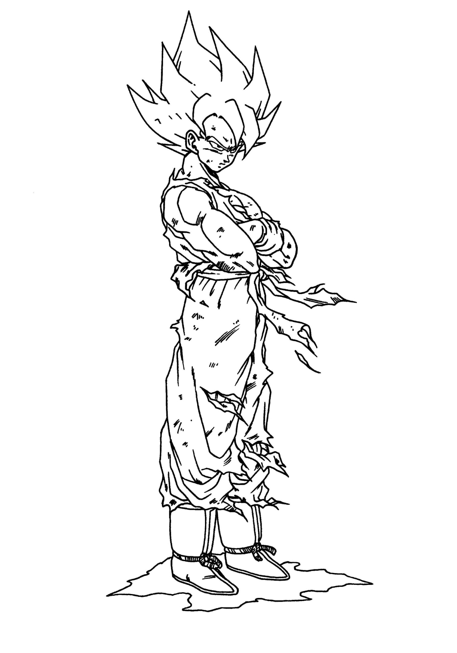 Gran Gokú SSj2
