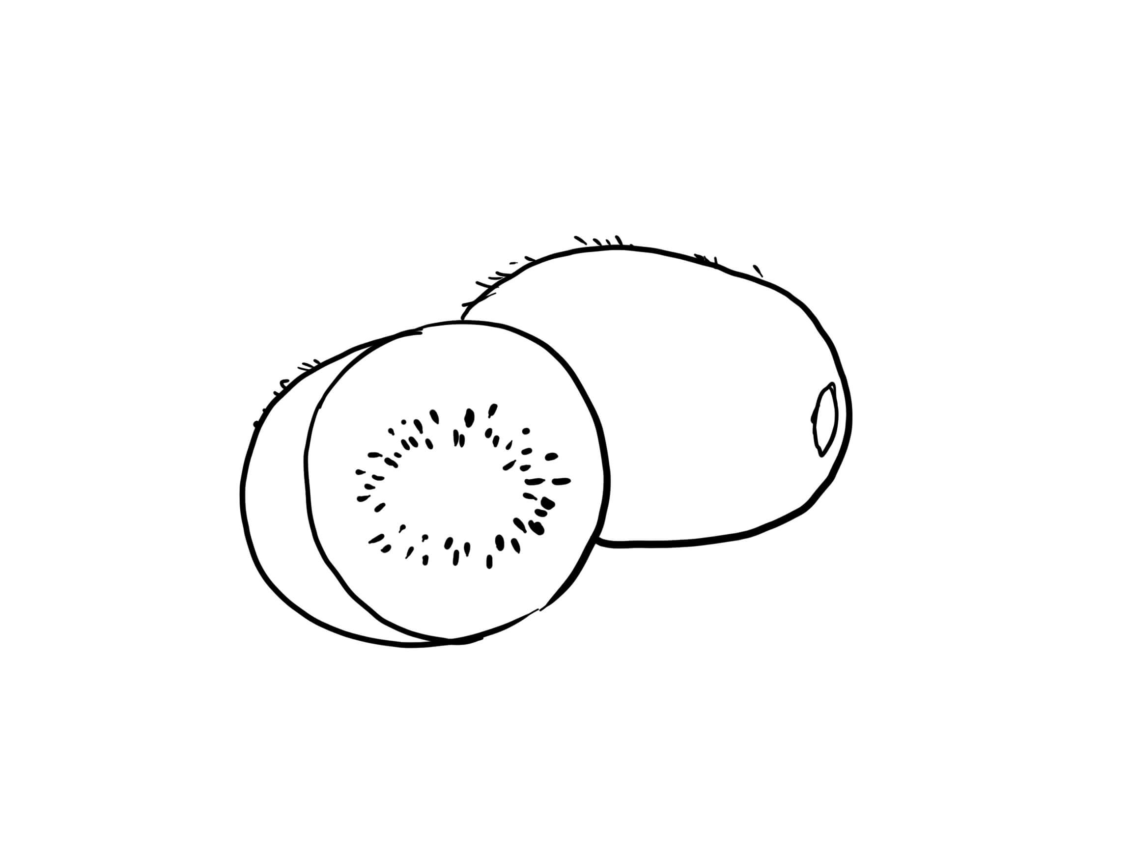 Gran Kiwi