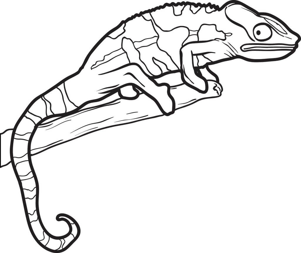 Gran Lagarto