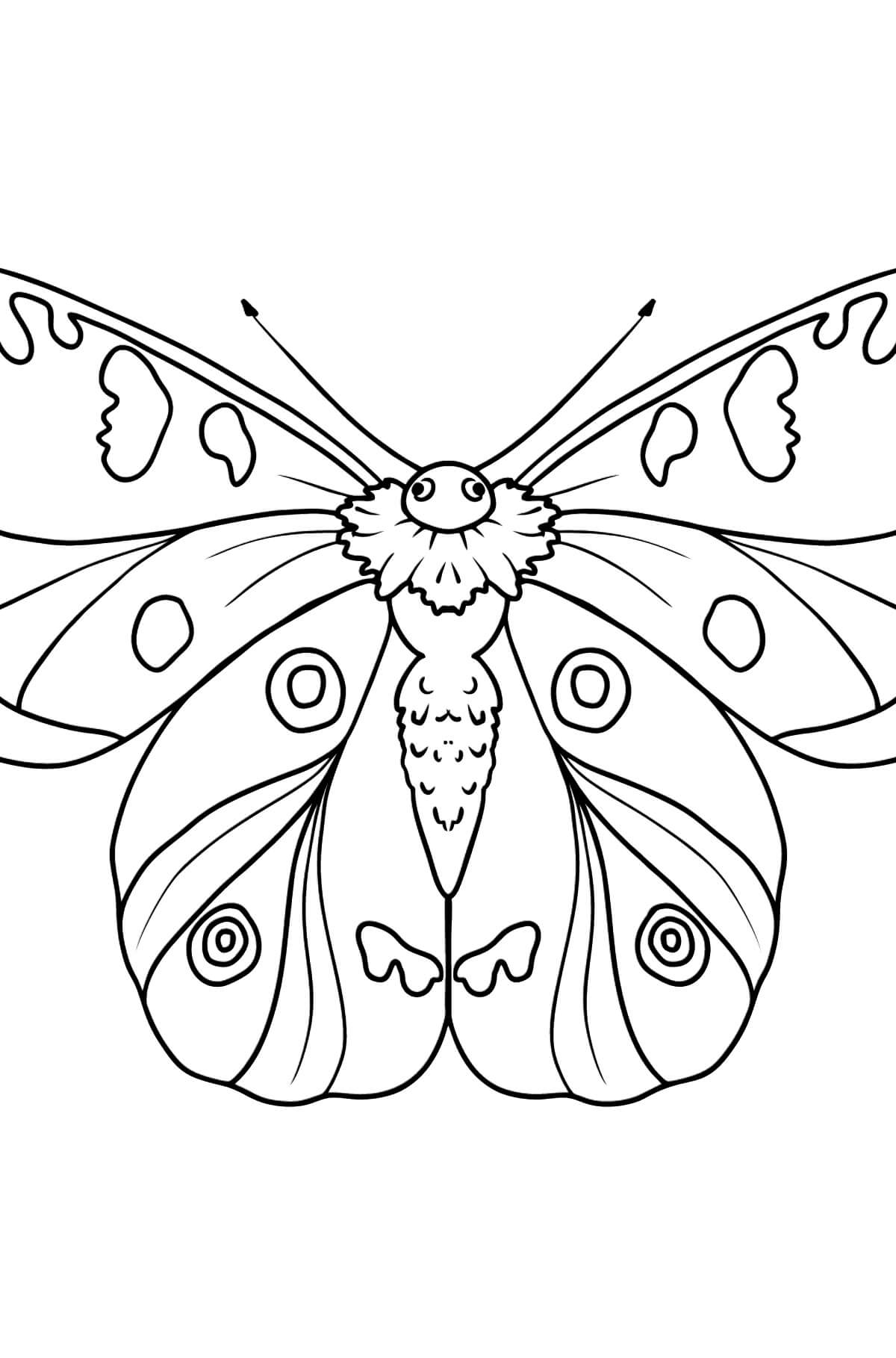 Gran Mariposa