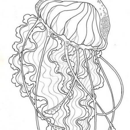 Gran Medusa