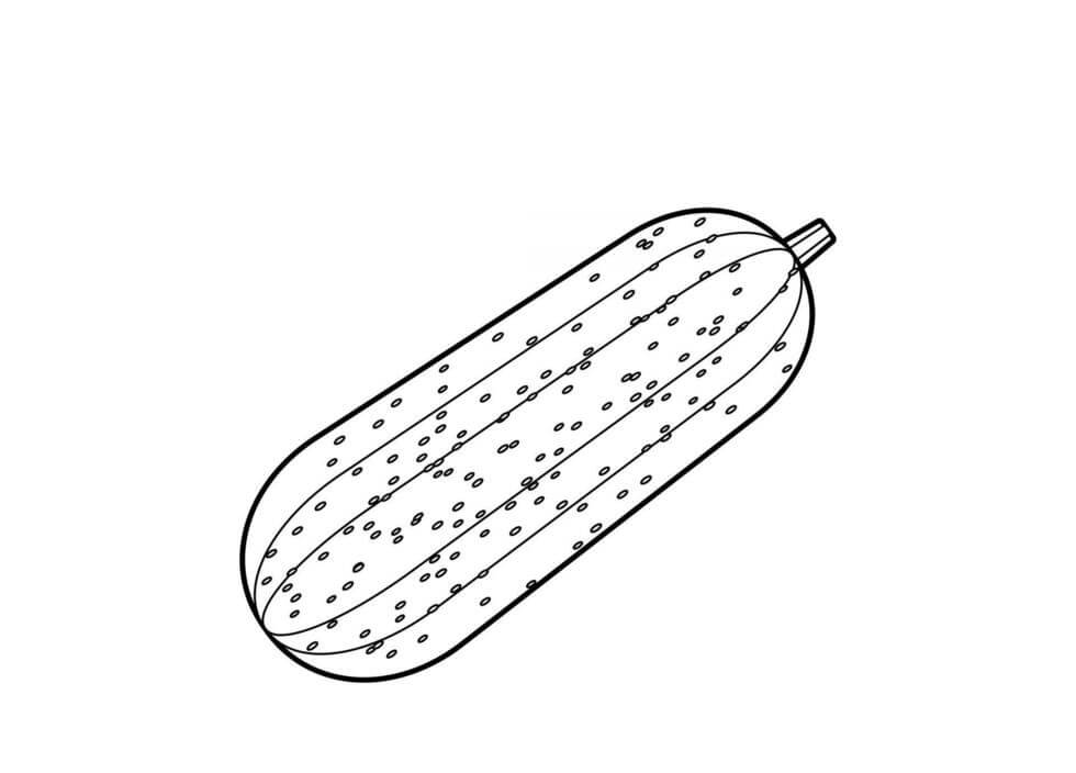 Pepino