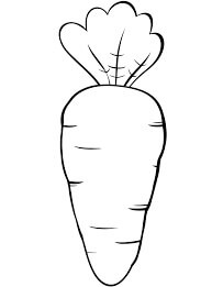 Zanahoria