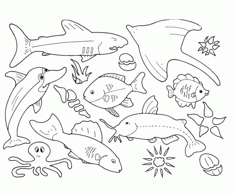 Grandes Animales Marinos
