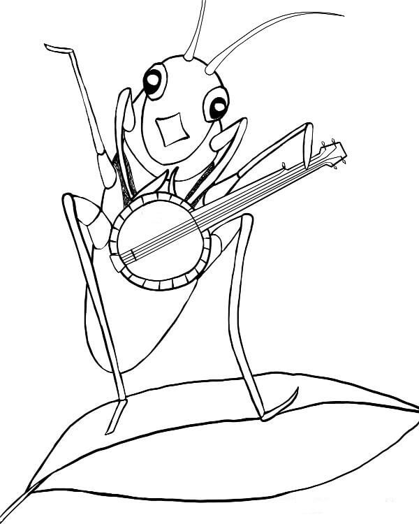 Grillo Tocando la Guitarra