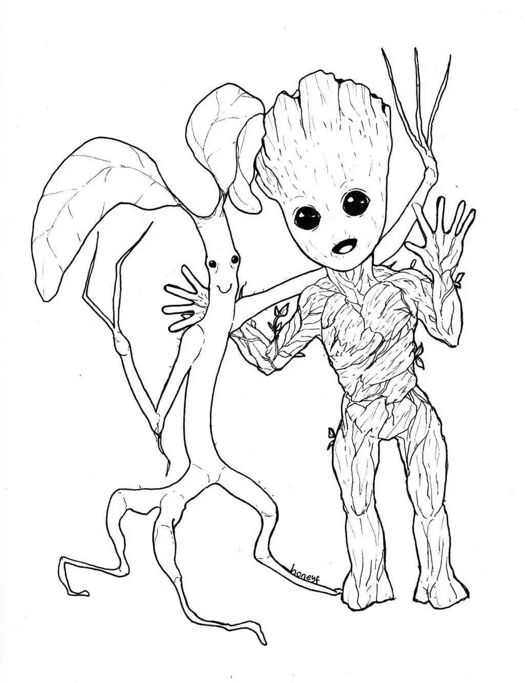 Groot y Amigo