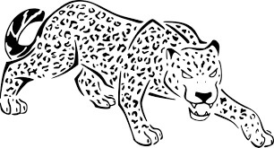 Guepardo Enojado