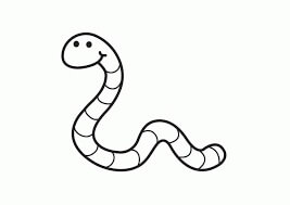 Gusano