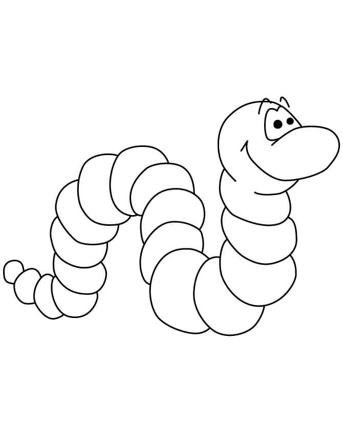 Gusanos Lindos