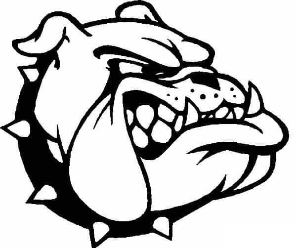 Head Bulldog Angry