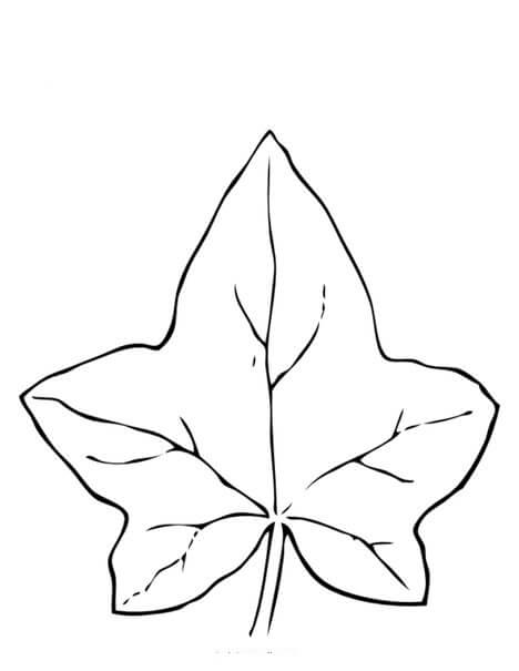 Hermosa Hoja de Otoño