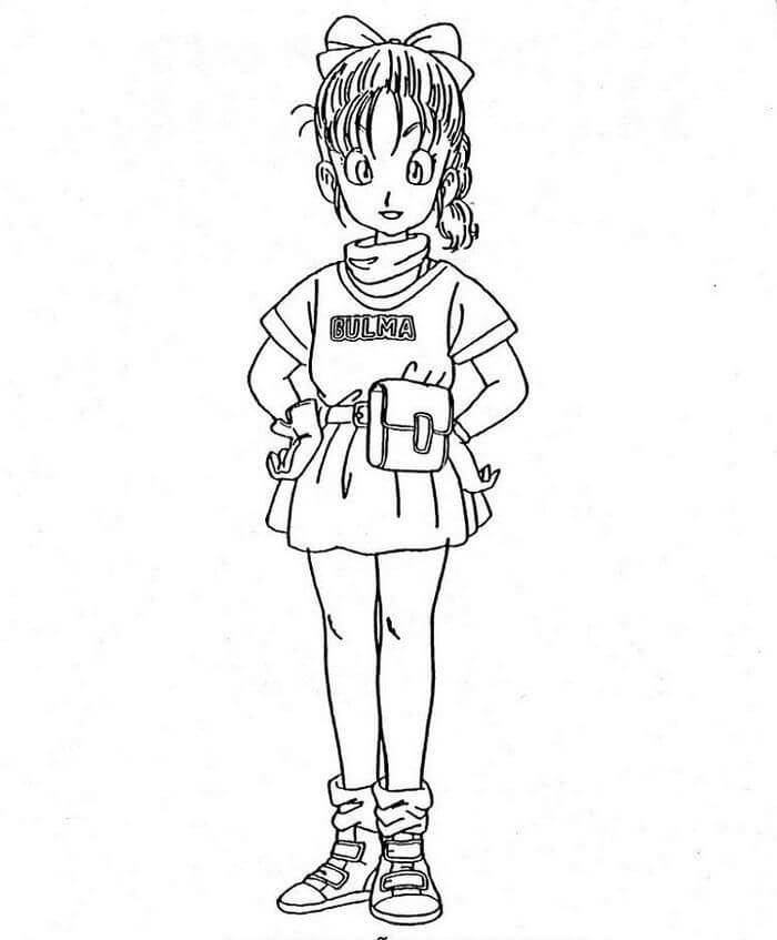 Hermosa Pequeña Bulma