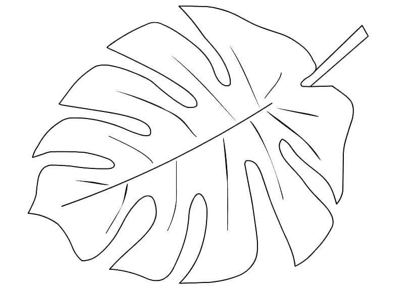 Hoja de Palma