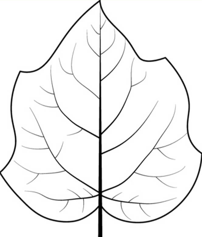 Hoja de Árbol Dedalera