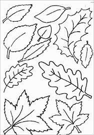 Hojas de Otoño