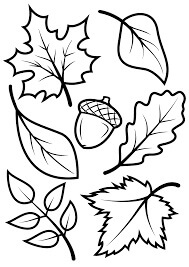 Hojas de Otoño y Bellota