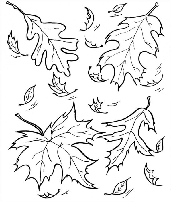 Hojas en Otoño