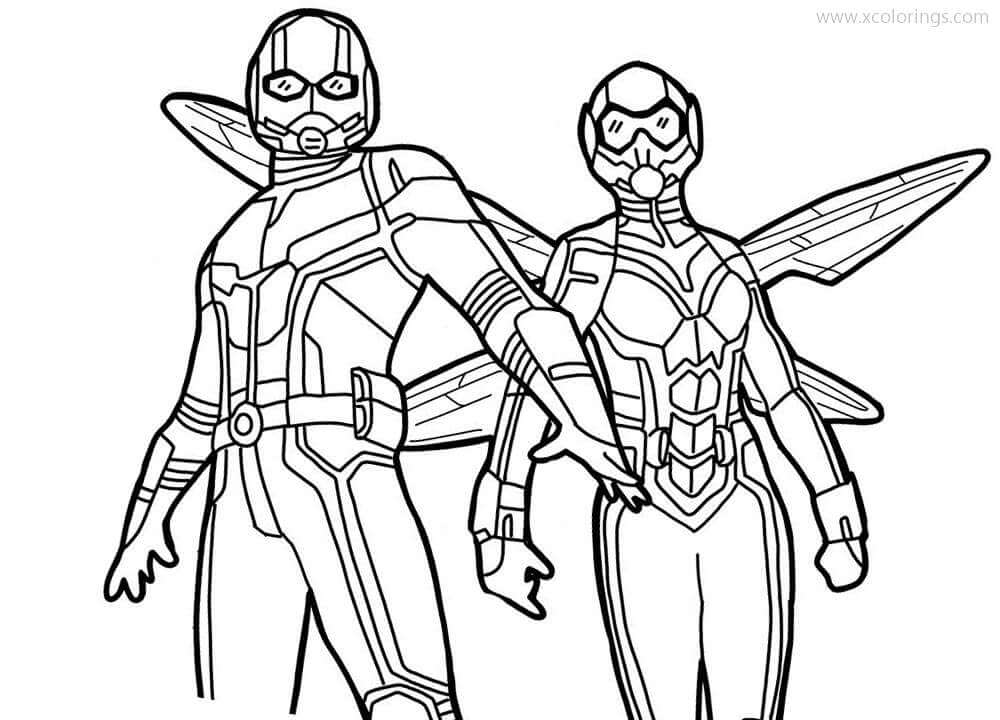 Hombre Hormiga Y Hombre Abeja