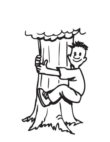 Hombre Trepar Árbol