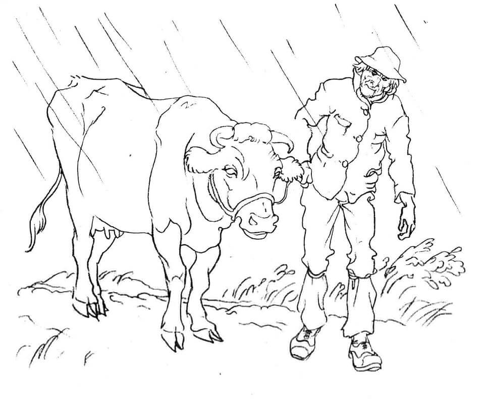 Hombre y Una Vaca