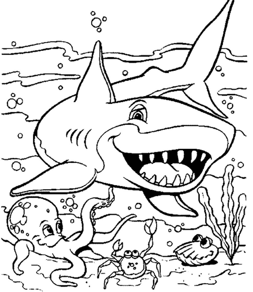 Increíbles Animales Marinos