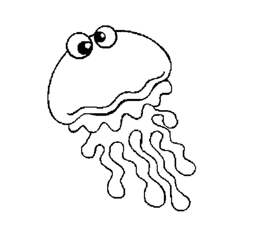 JellyFish Divertido