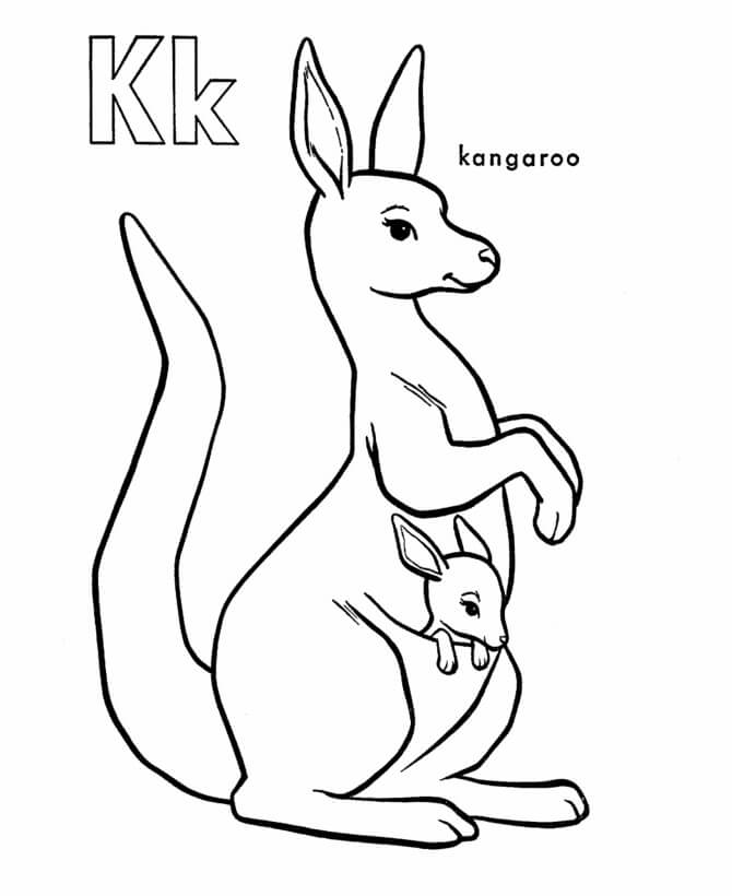 K es para Canguro