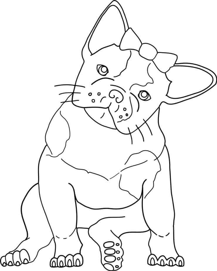 Kawaii Bulldog