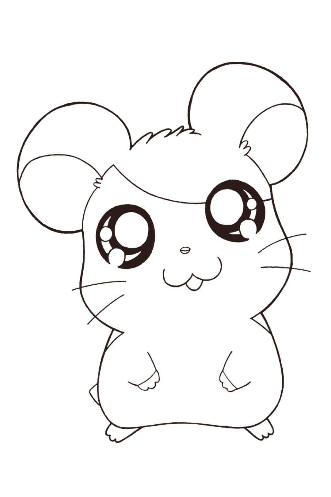 Kawaii Hámster