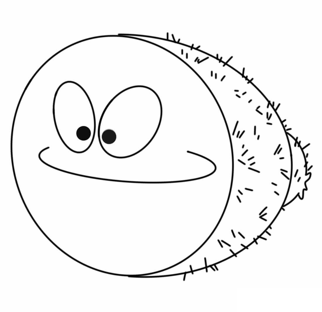 Kiwi Sonriente