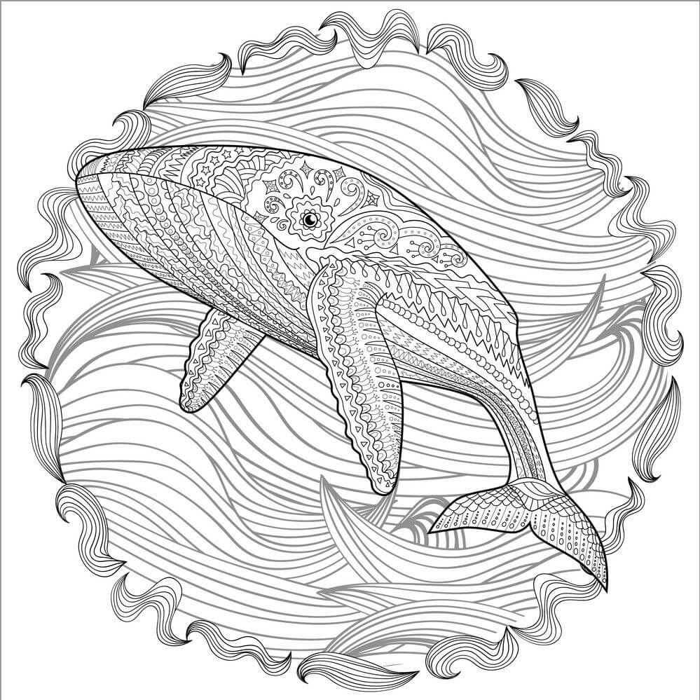 La Ballena es para Adultos