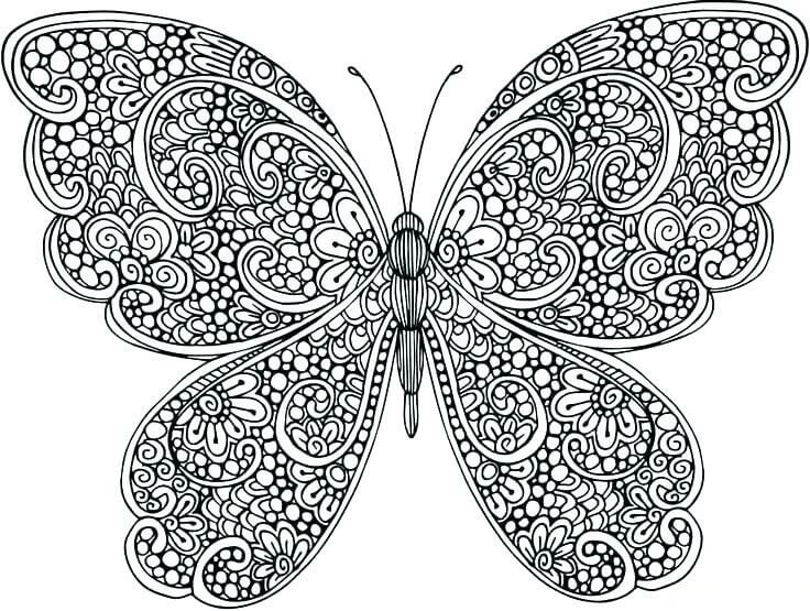 La Mariposa es para Adultos