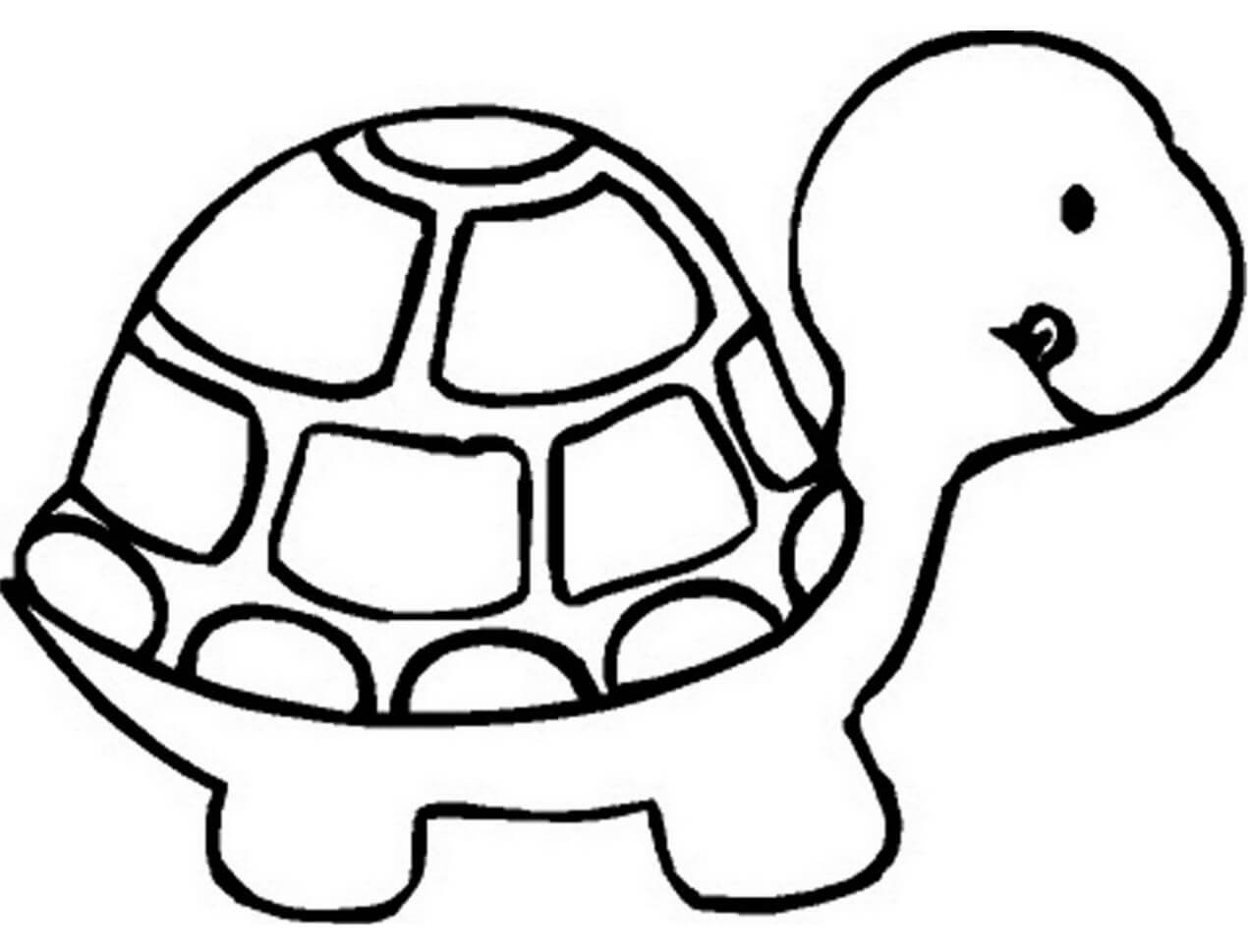 La Tortuga es para Niño