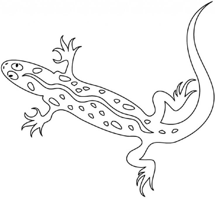 Lagarto