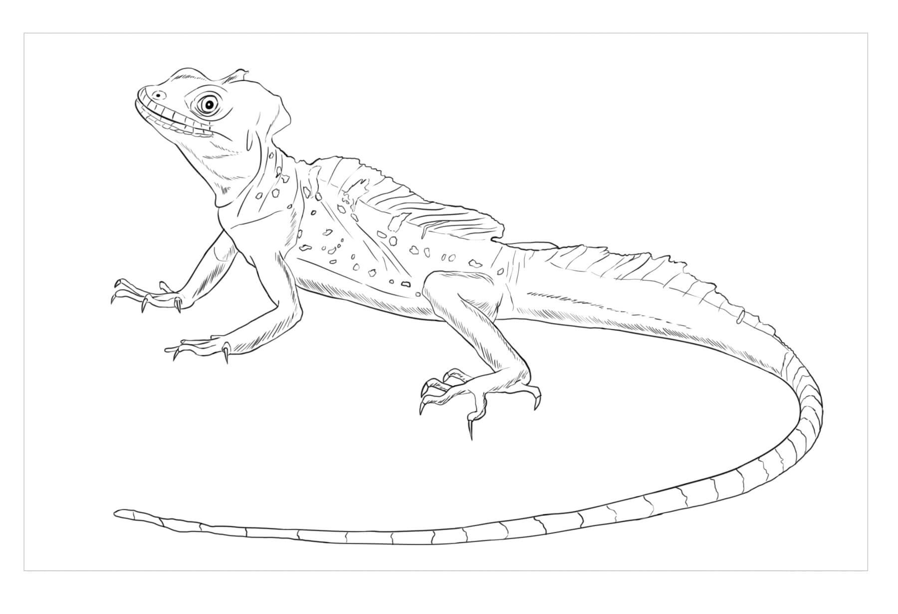 Lagarto Basilisco
