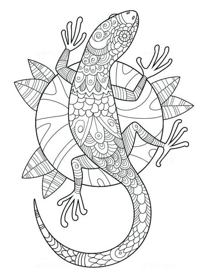 Lagarto Duro