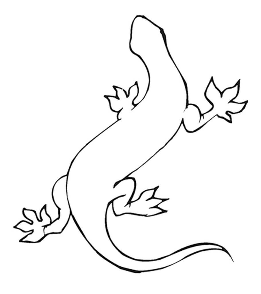 Lagarto Fácil