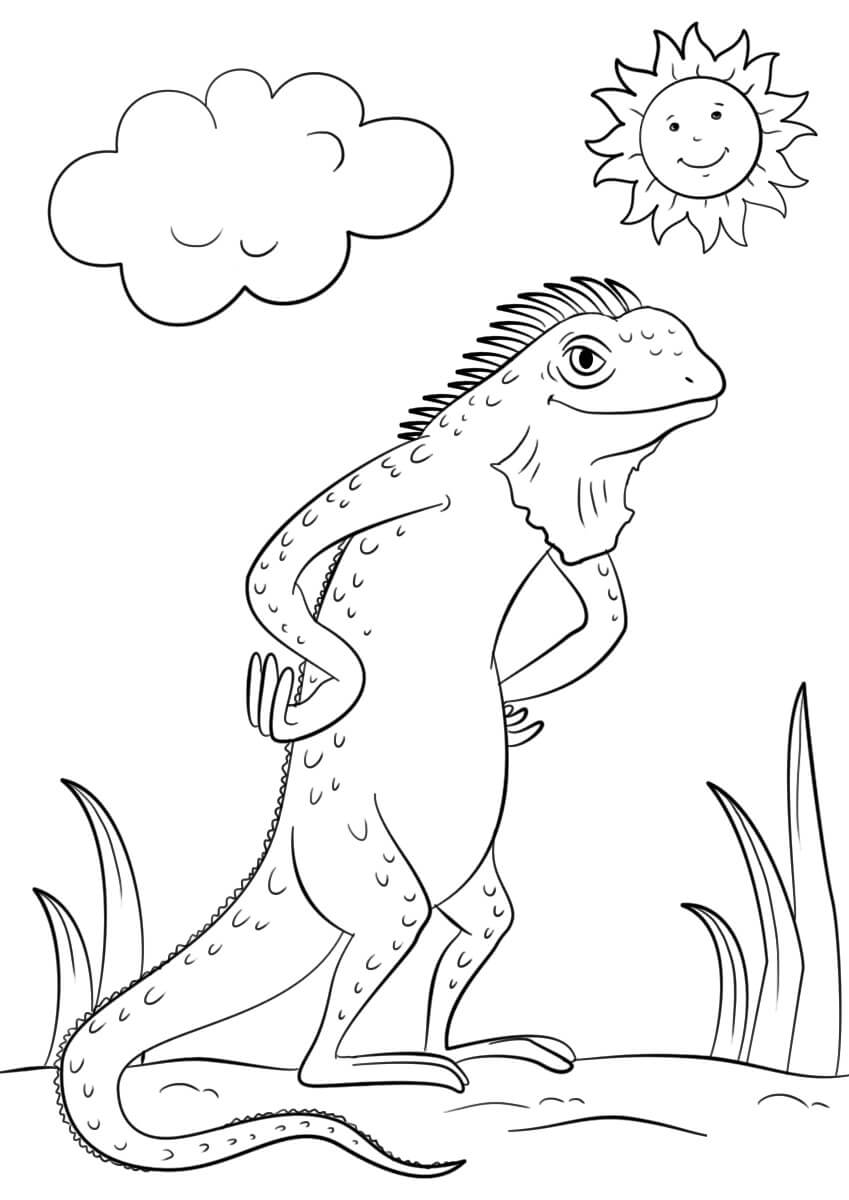 Lagarto Iguana de Dibujos Animados