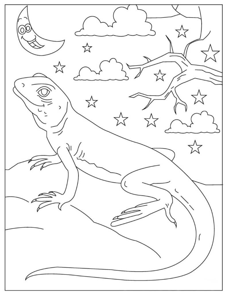 Lagarto Imprimible