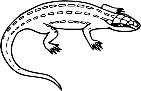 Lagarto Leopardo