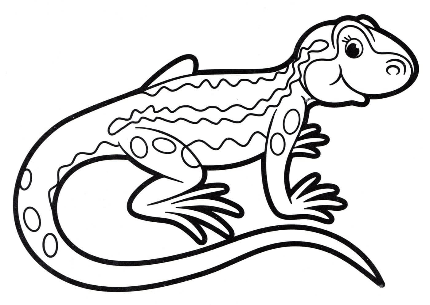 Lagarto Sonriendo