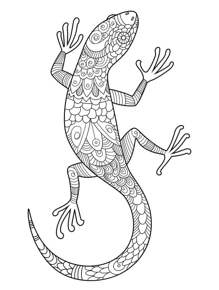Lagarto es Para Adultos