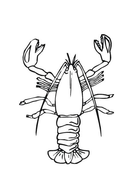 Langosta de Dibujos Animados