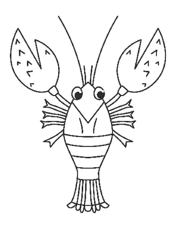 Langosta en el Mar